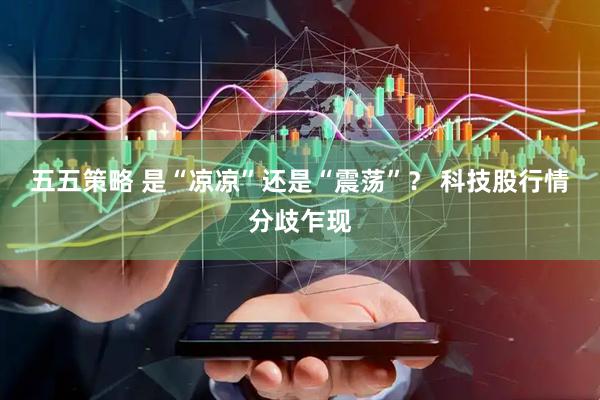 五五策略 是“凉凉”还是“震荡”？ 科技股行情分歧乍现