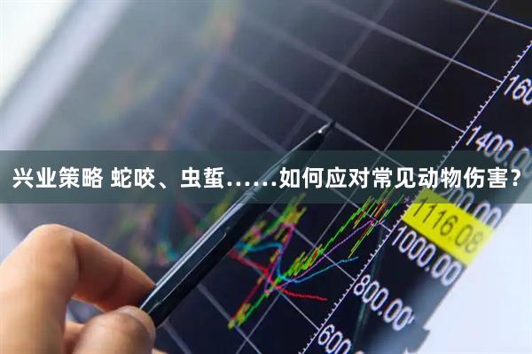 兴业策略 蛇咬、虫蜇……如何应对常见动物伤害？