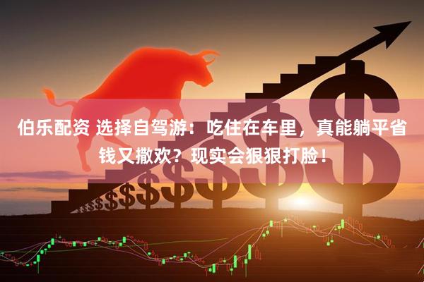 伯乐配资 选择自驾游：吃住在车里，真能躺平省钱又撒欢？现实会狠狠打脸！