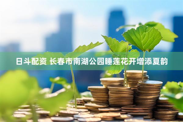 日斗配资 长春市南湖公园睡莲花开增添夏韵