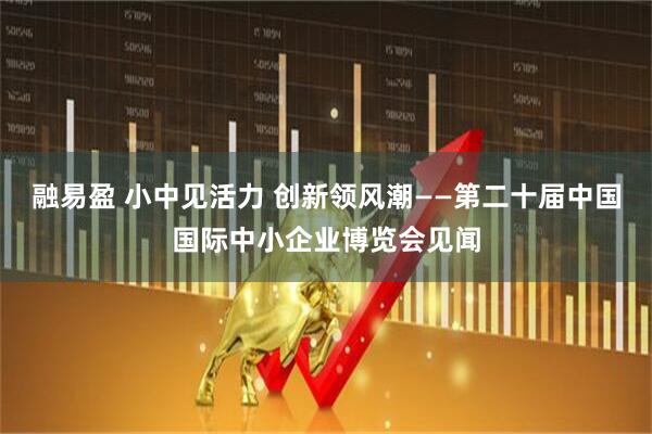 融易盈 小中见活力 创新领风潮——第二十届中国国际中小企业博览会见闻