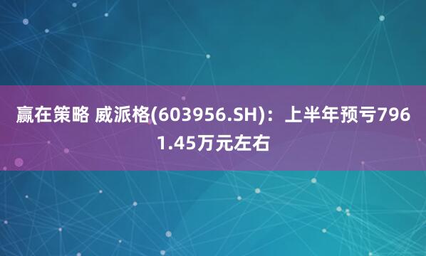 赢在策略 威派格(603956.SH)：上半年预亏7961.45万元左右