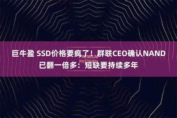 巨牛盈 SSD价格要疯了！群联CEO确认NAND已翻一倍多：短缺要持续多年