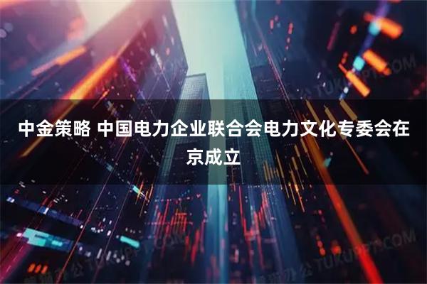 中金策略 中国电力企业联合会电力文化专委会在京成立
