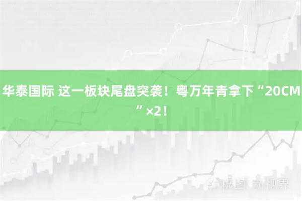 华泰国际 这一板块尾盘突袭!粤万年青拿下“20CM”×2!