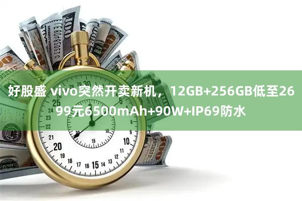 好股盛 vivo突然开卖新机,12GB+256GB低至2699元6500mAh+90W+IP69防水